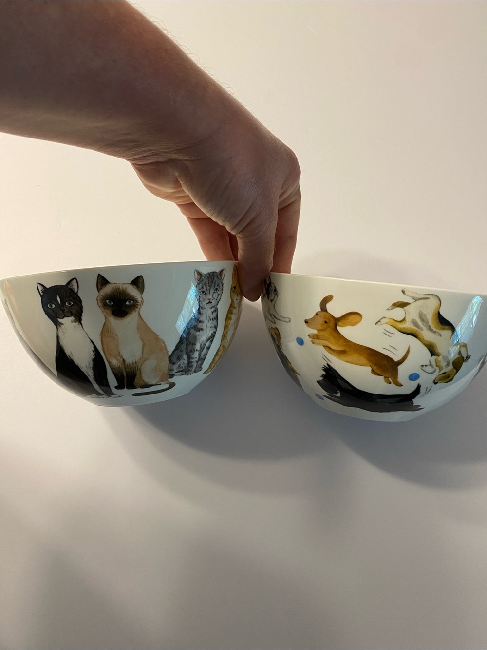 Cat & Dog Illustrations - China Bowls - White with colorful designs